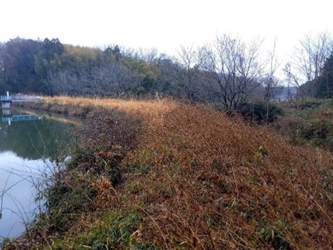 知られざる比企の魅力　第2回　ため池農法と伝説にみる比企の価値～串引沼から大谷(東松山市)を語る